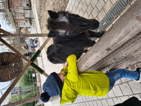 Tiergarten hat einen Streichelzoo